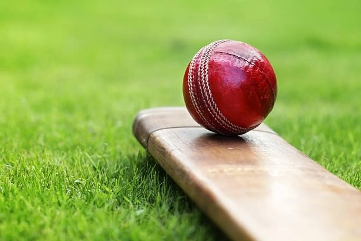 High-performance cricket training